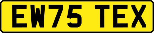 EW75TEX