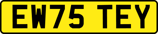 EW75TEY