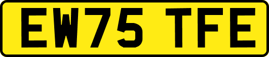 EW75TFE