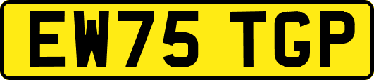 EW75TGP