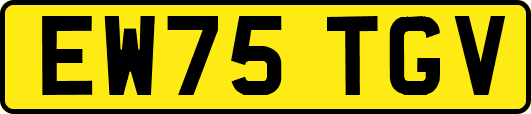EW75TGV
