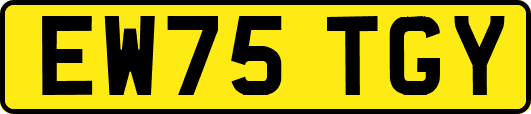 EW75TGY