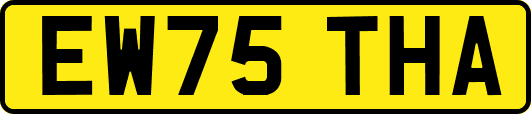 EW75THA