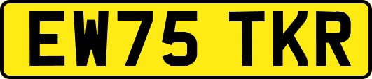 EW75TKR