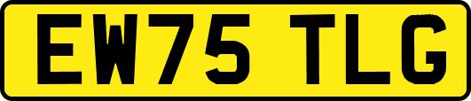 EW75TLG