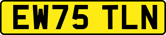 EW75TLN