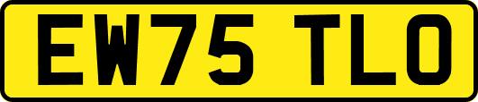 EW75TLO
