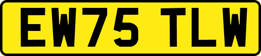 EW75TLW