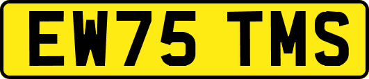 EW75TMS