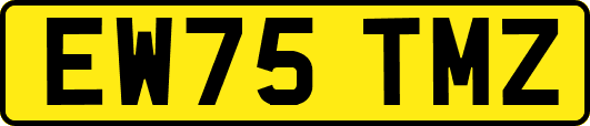 EW75TMZ