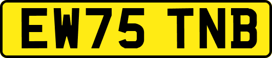 EW75TNB