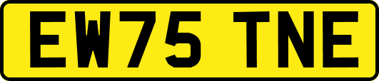 EW75TNE