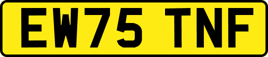 EW75TNF