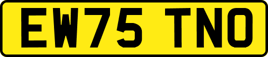 EW75TNO