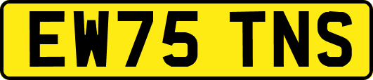 EW75TNS