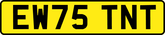 EW75TNT