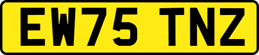EW75TNZ