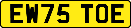 EW75TOE