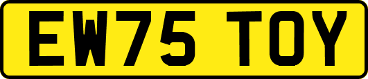 EW75TOY