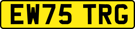 EW75TRG