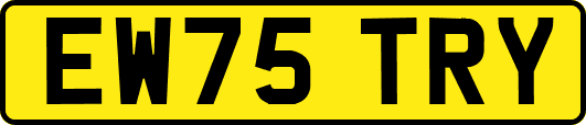 EW75TRY