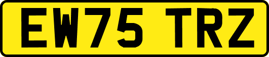EW75TRZ