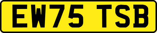 EW75TSB