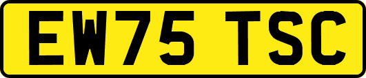 EW75TSC