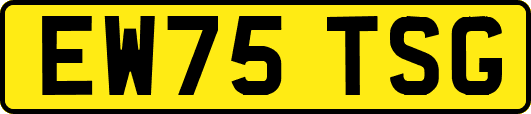 EW75TSG