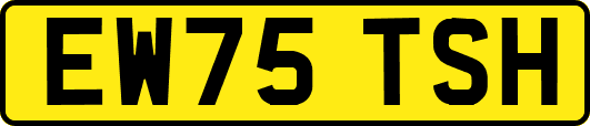 EW75TSH