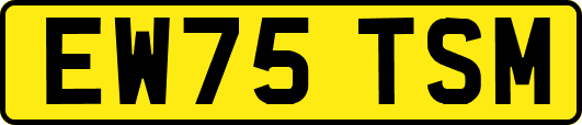 EW75TSM