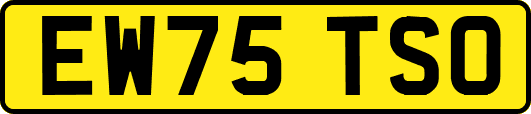 EW75TSO