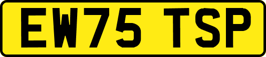 EW75TSP