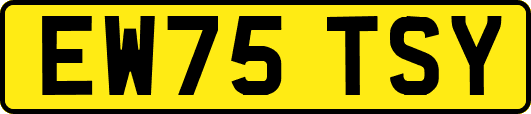 EW75TSY