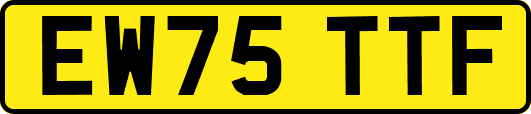 EW75TTF