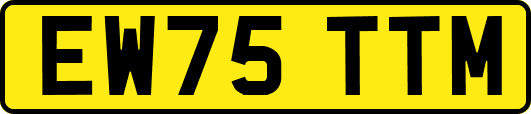 EW75TTM