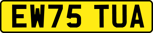 EW75TUA