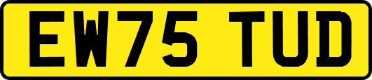 EW75TUD