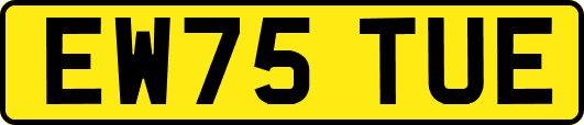 EW75TUE