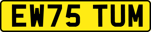 EW75TUM