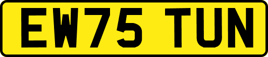 EW75TUN