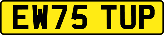 EW75TUP
