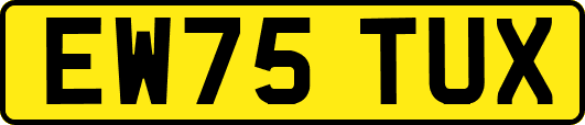 EW75TUX
