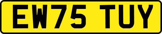 EW75TUY