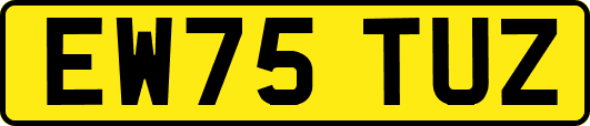EW75TUZ