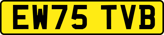 EW75TVB