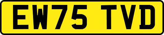 EW75TVD
