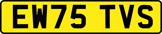 EW75TVS