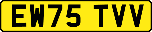 EW75TVV