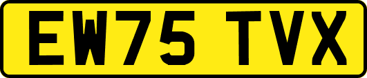 EW75TVX